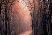 70588！中澳之战刷新中国足球上座人数纪录.