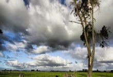 70588！中澳之战刷新中国足球上座人数纪录.