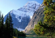 70588！中澳之战刷新中国足球上座人数纪录.