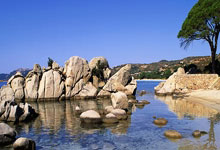 [国际足球]哈兰德蝎子摆尾领衔2024年度百大进球.